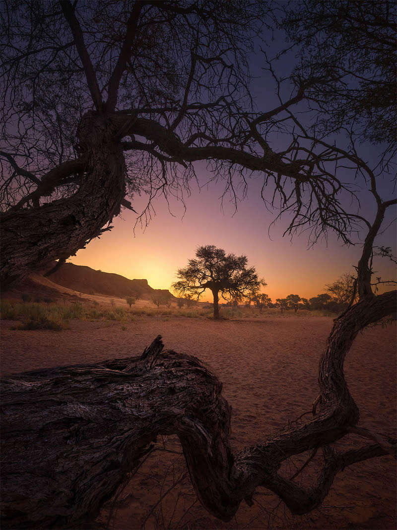 Enchanting Landscape Photography By Isabella Tabacchi