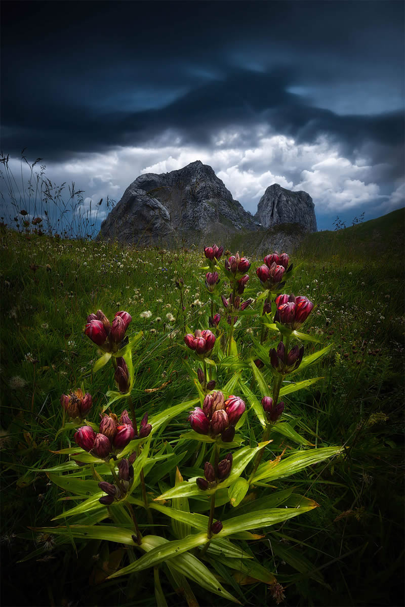 Enchanting Landscape Photography By Isabella Tabacchi