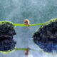 Macro Photography By Andri Priyadi