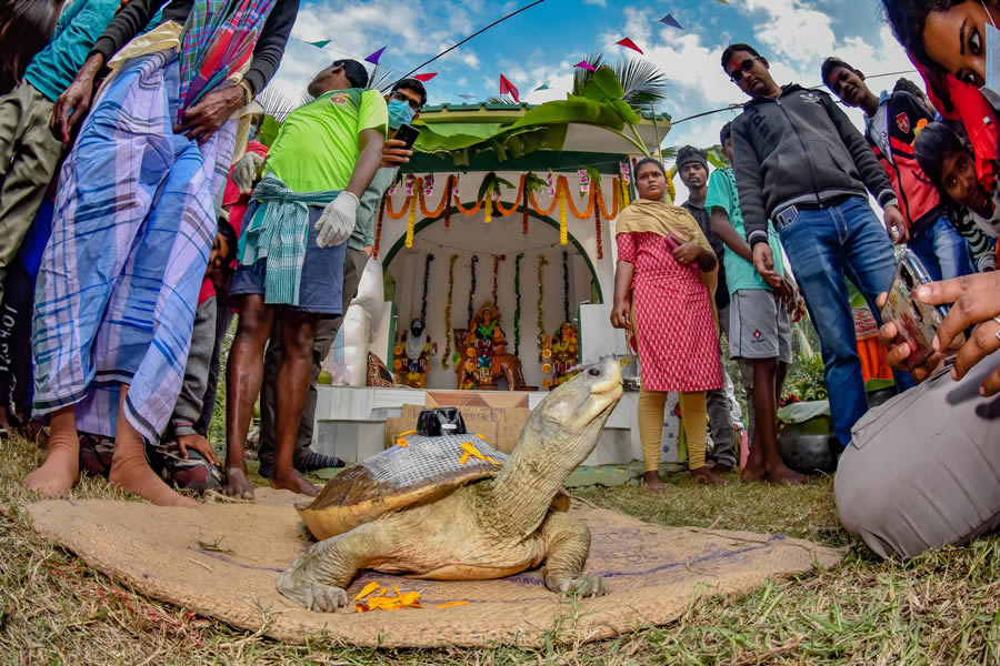 Heart Touching Winners Of Mangrove Photography Awards 2024