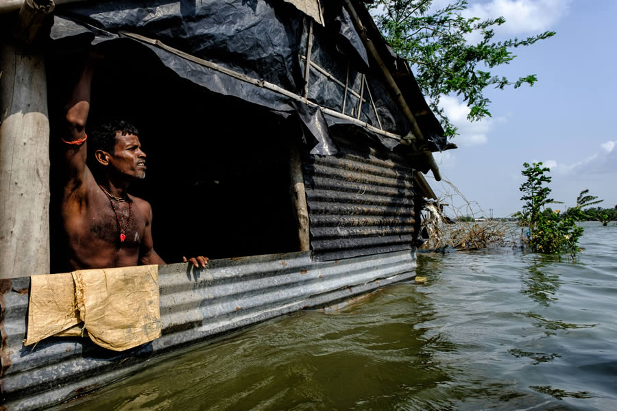 Heart Touching Winners Of Mangrove Photography Awards 2024