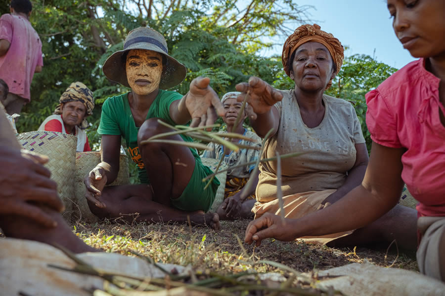 Heart Touching Winners Of Mangrove Photography Awards 2024