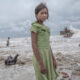 Heart Touching Winners Of Mangrove Photography Awards 2024