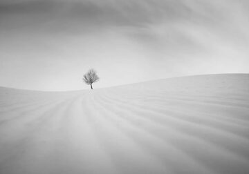 Minimalism Black And White Photography Awards