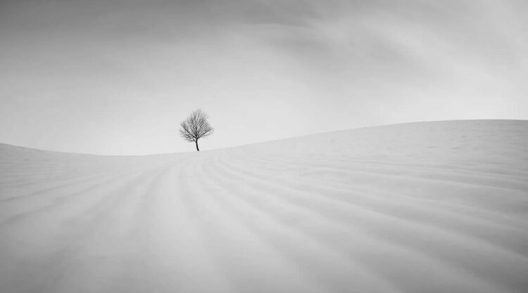 Minimalism Black And White Photography Awards