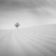 Minimalism Black And White Photography Awards