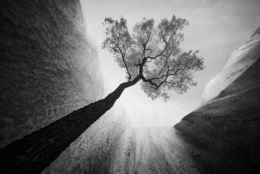 Landscape Winners Of Monochrome Photography Awards