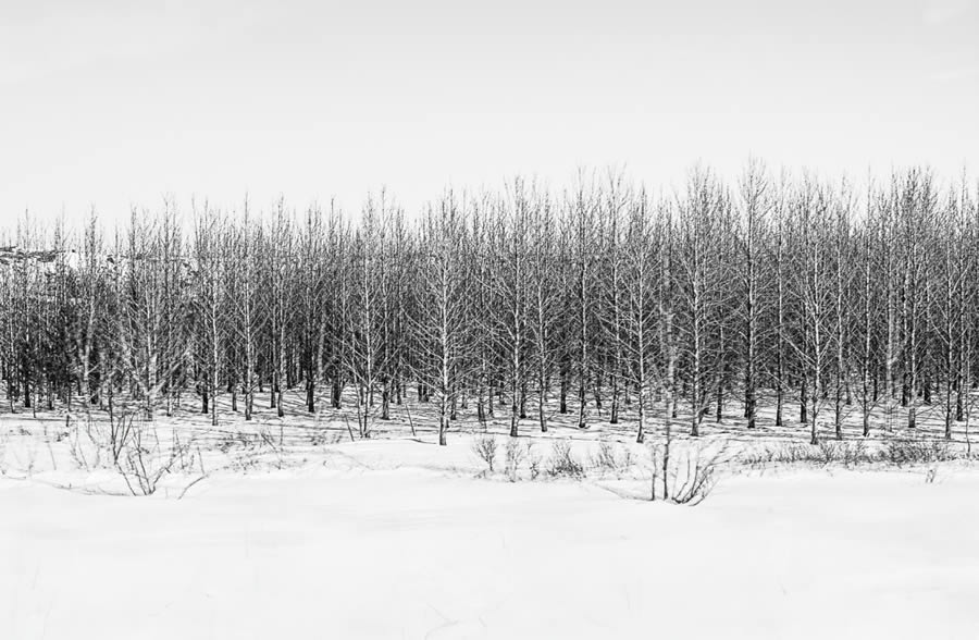 Landscape Winners Of Monochrome Photography Awards