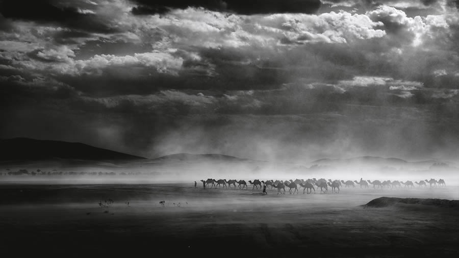 Landscape Winners Of Monochrome Photography Awards