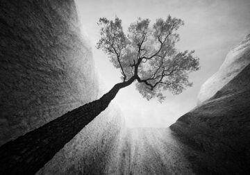 Landscape Winners Of Monochrome Photography Awards