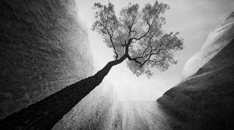 Landscape Winners Of Monochrome Photography Awards