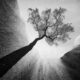 Landscape Winners Of Monochrome Photography Awards