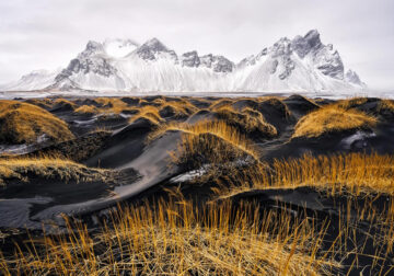 World Nature Photography Awards 2024