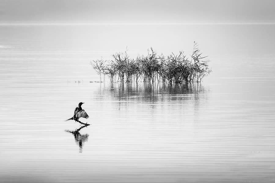 Northern Lakes Greece by George Digalakis