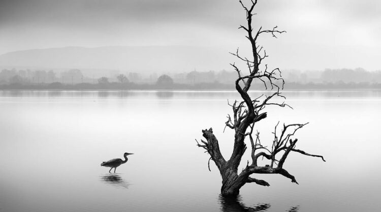 Northern Lakes Greece by George Digalakis