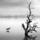 Northern Lakes Greece by George Digalakis