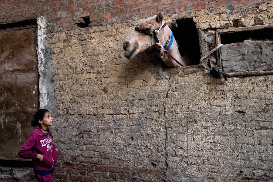 Best Photos From Prix De La Photographie Awards