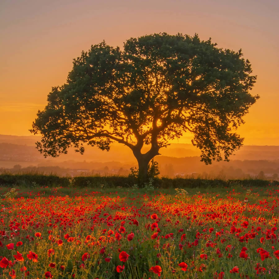 Scottish Landscape Photographer Of The Year 2024