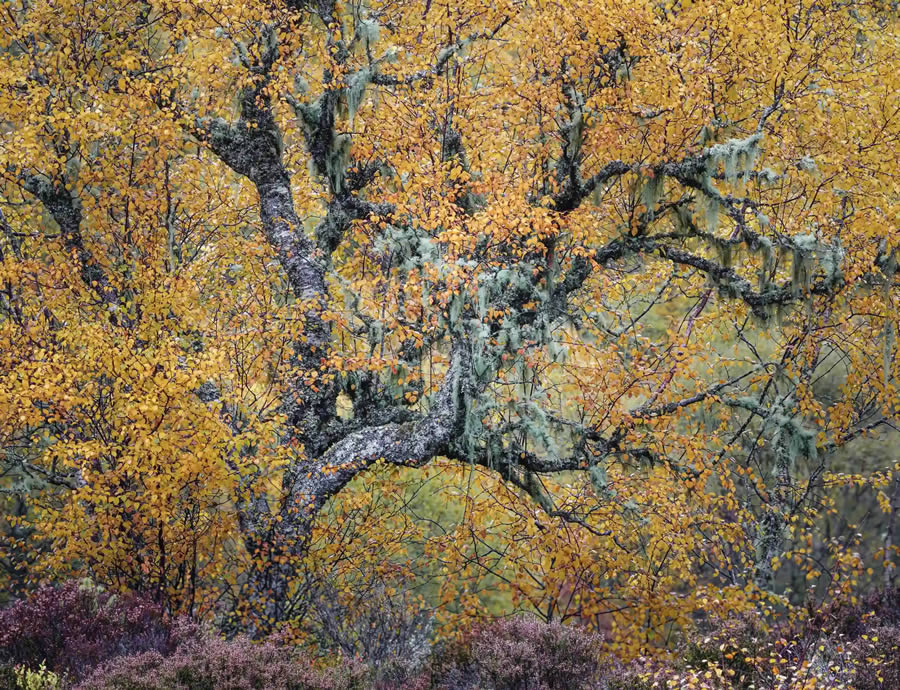 Scottish Landscape Photographer Of The Year 2024