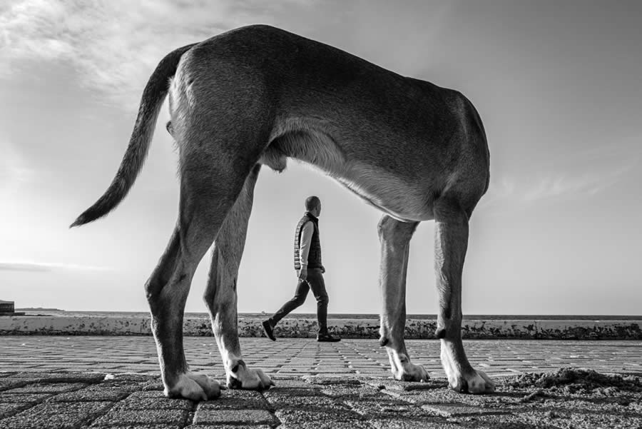 Brilliant Street Photography In Black And White By Charis Ioannou