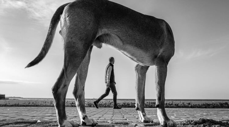 Brilliant Street Photography In Black And White By Charis Ioannou