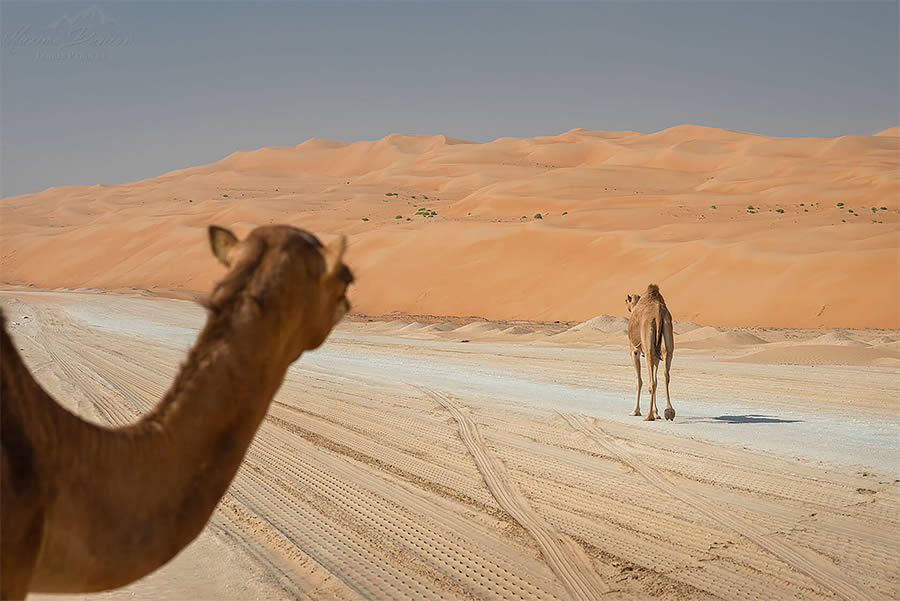 The Empty Quarter Expansive Deserts By Maxime Daviron