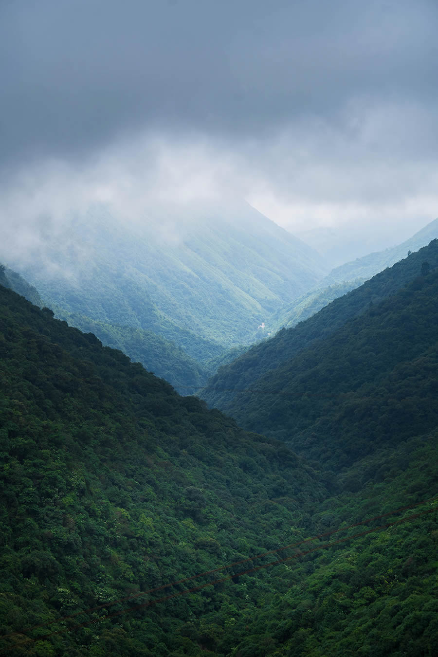 The Silence Of Cherapunji By Arif Zaman