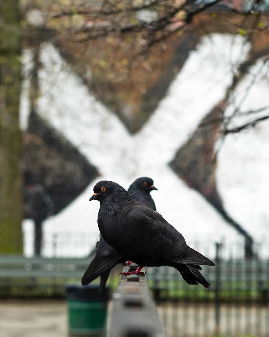 Perfect And Timely Street Photos By Eric Kogan