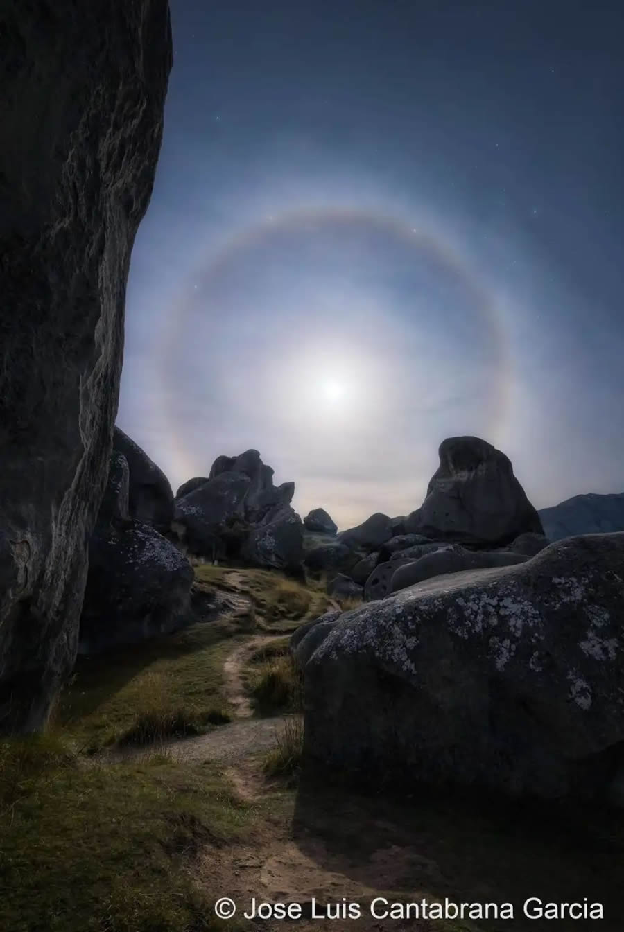 2024 Australian Geographic Nature Photographer of the Year Winners