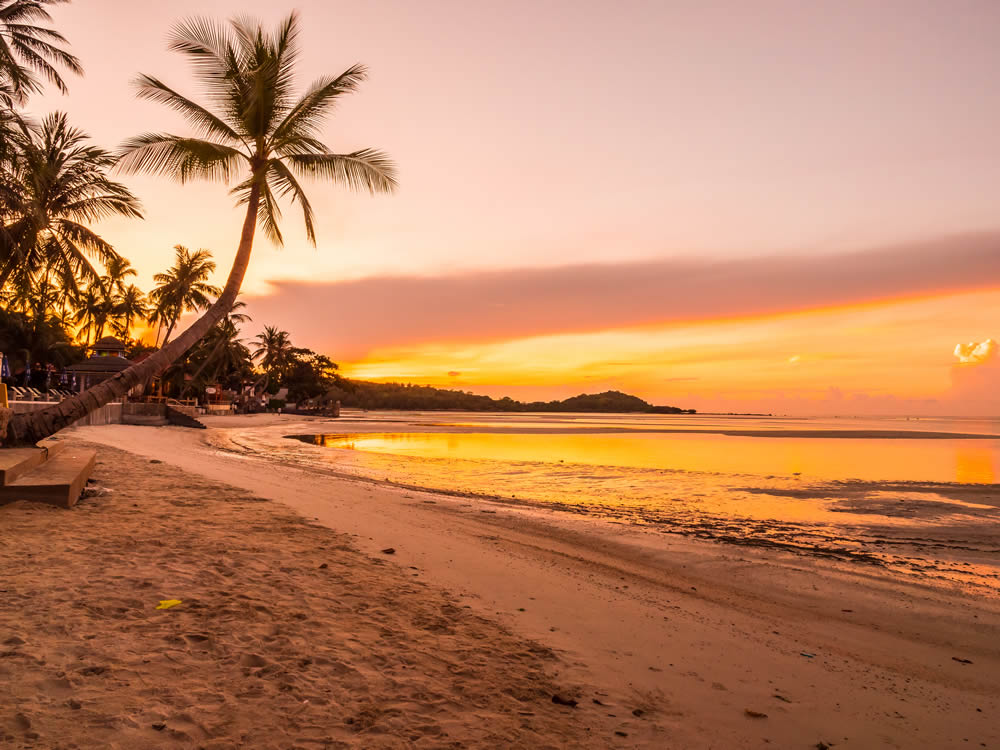 Pro Tips For Stunning Beach Photography