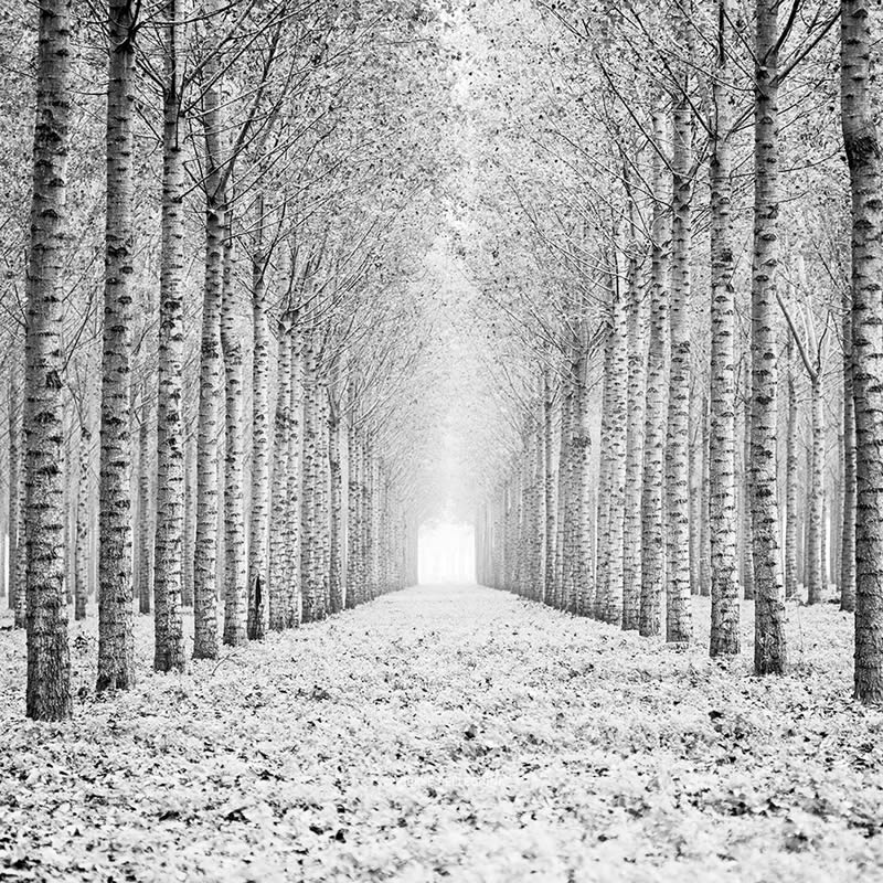 Top And Best Black And White Photography