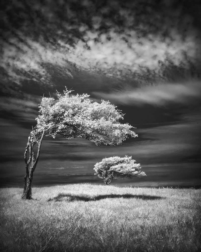 Top And Best Black And White Photography