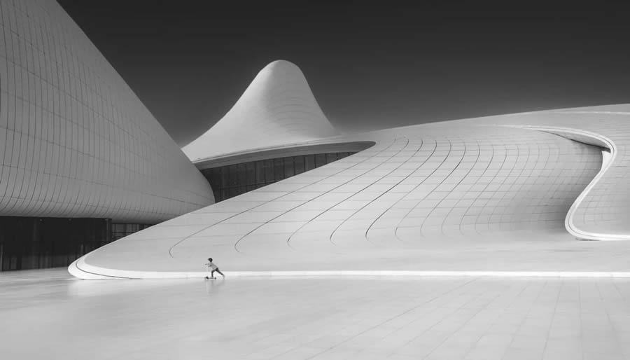 Award-Winning Black And White Photos of 2024