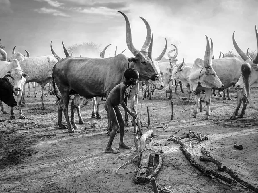 Best Photos From The Black And White Photo Awards 2024