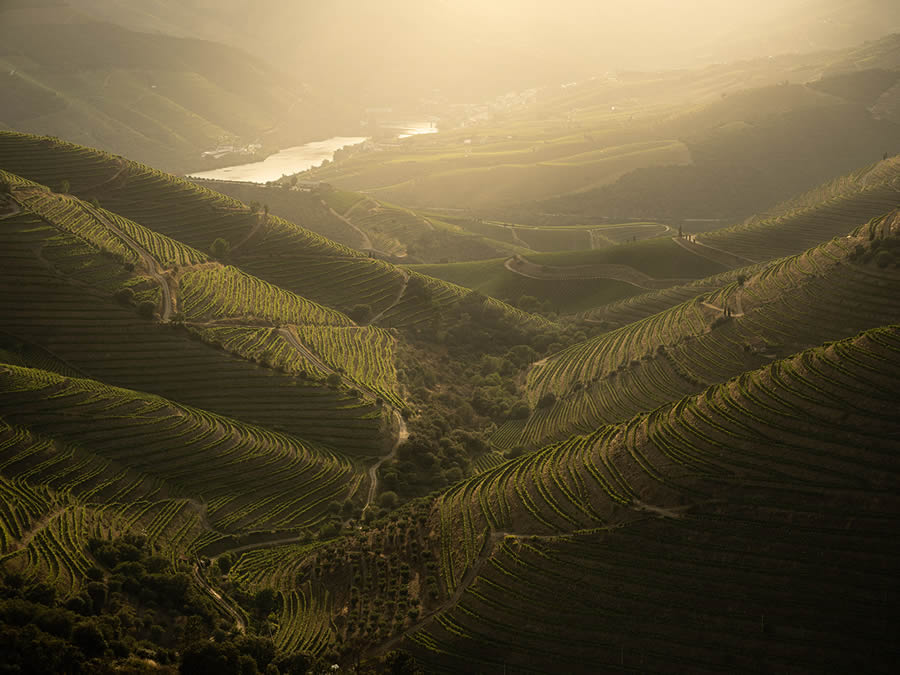 Landscape Photos Of Douro Valley By Tiago And Tania