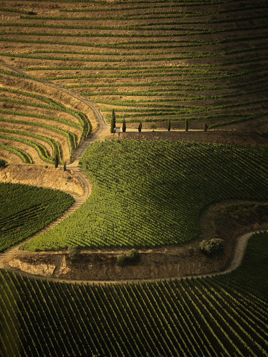 Landscape Photos Of Douro Valley By Tiago And Tania