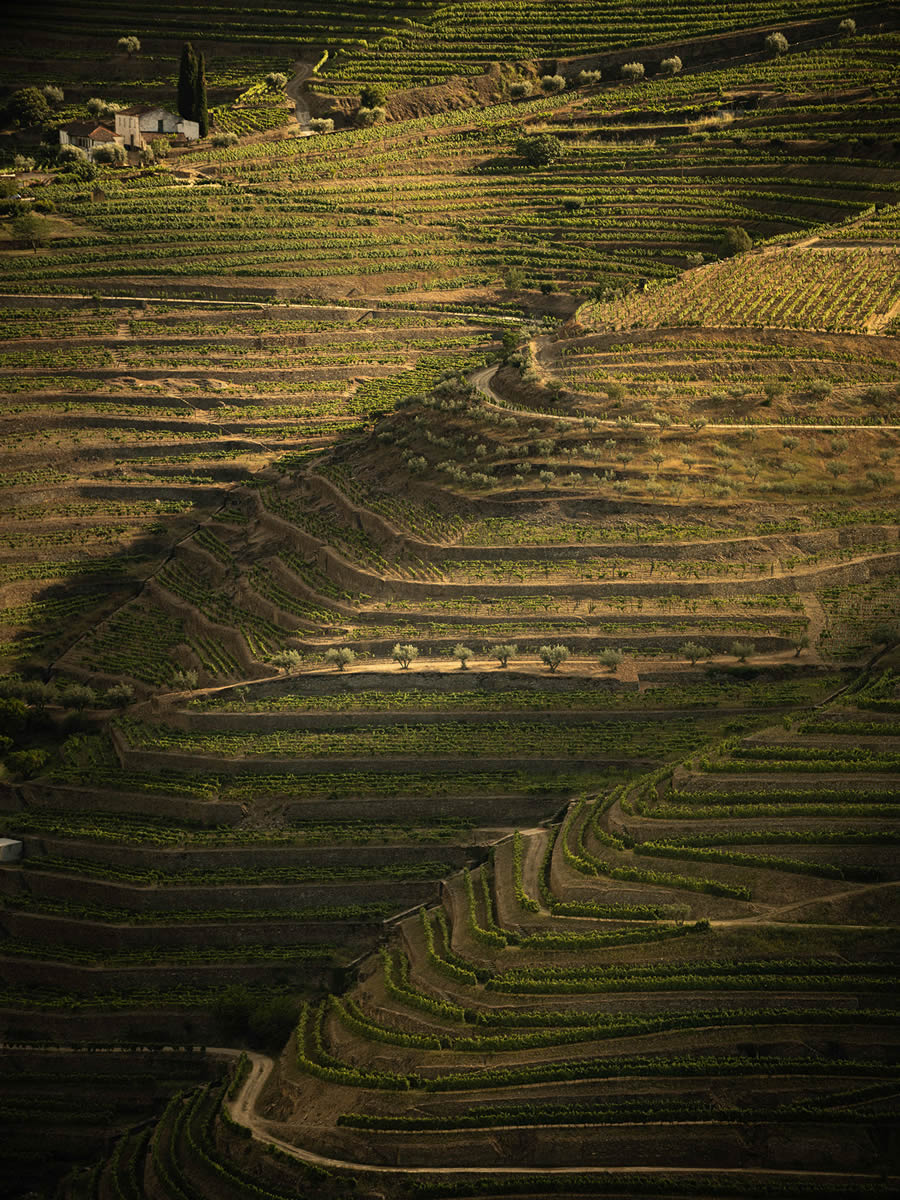 Landscape Photos Of Douro Valley By Tiago And Tania