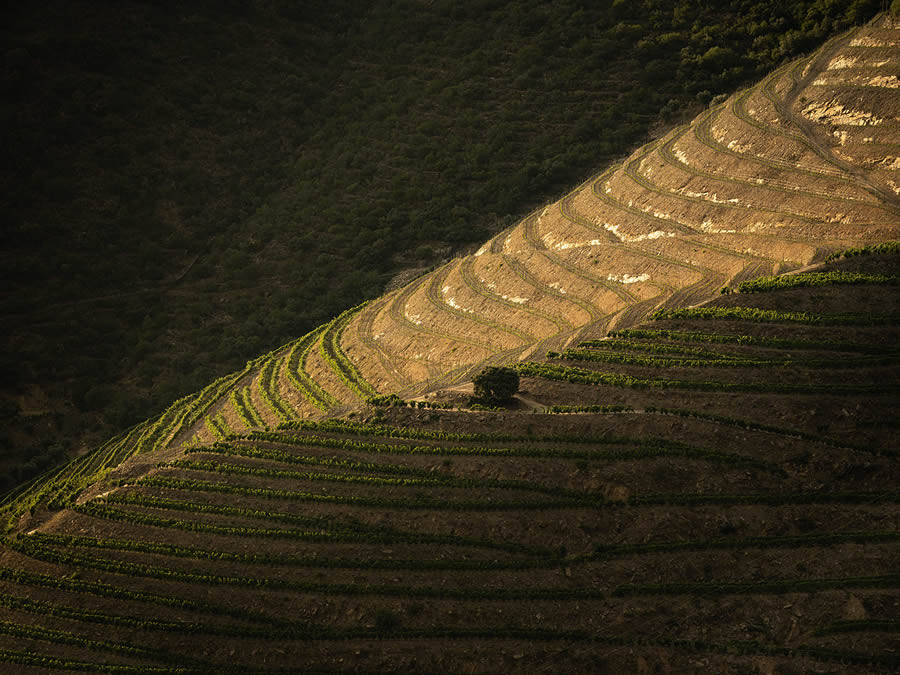 Landscape Photos Of Douro Valley By Tiago And Tania