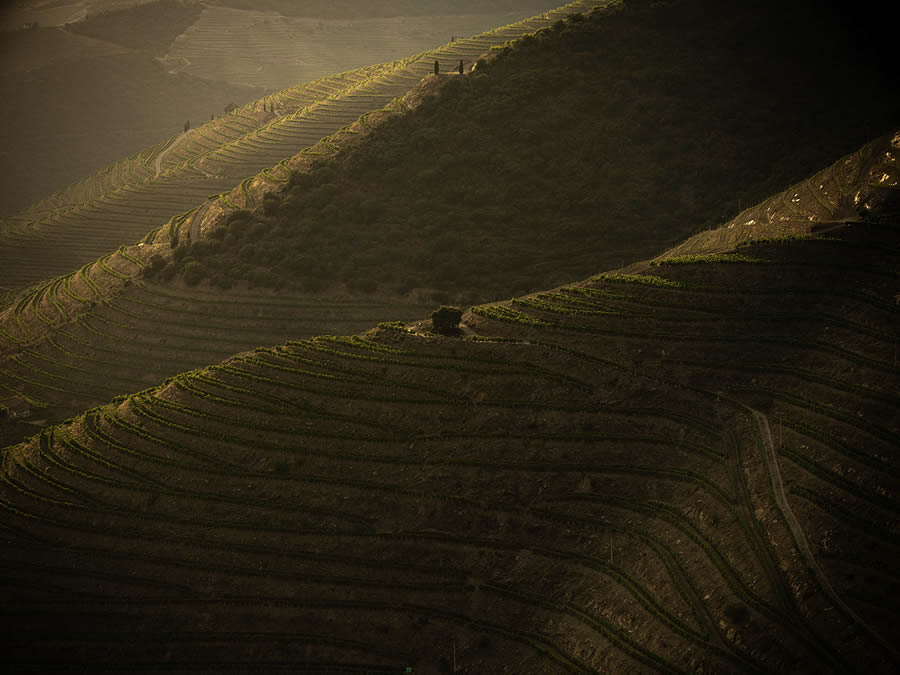 Landscape Photos Of Douro Valley By Tiago And Tania