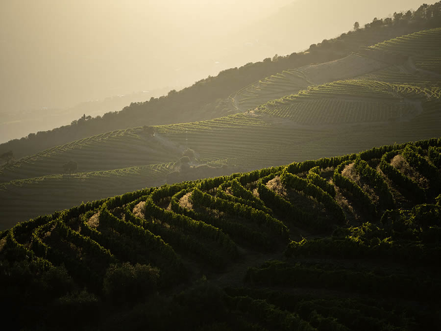 Landscape Photos Of Douro Valley By Tiago And Tania