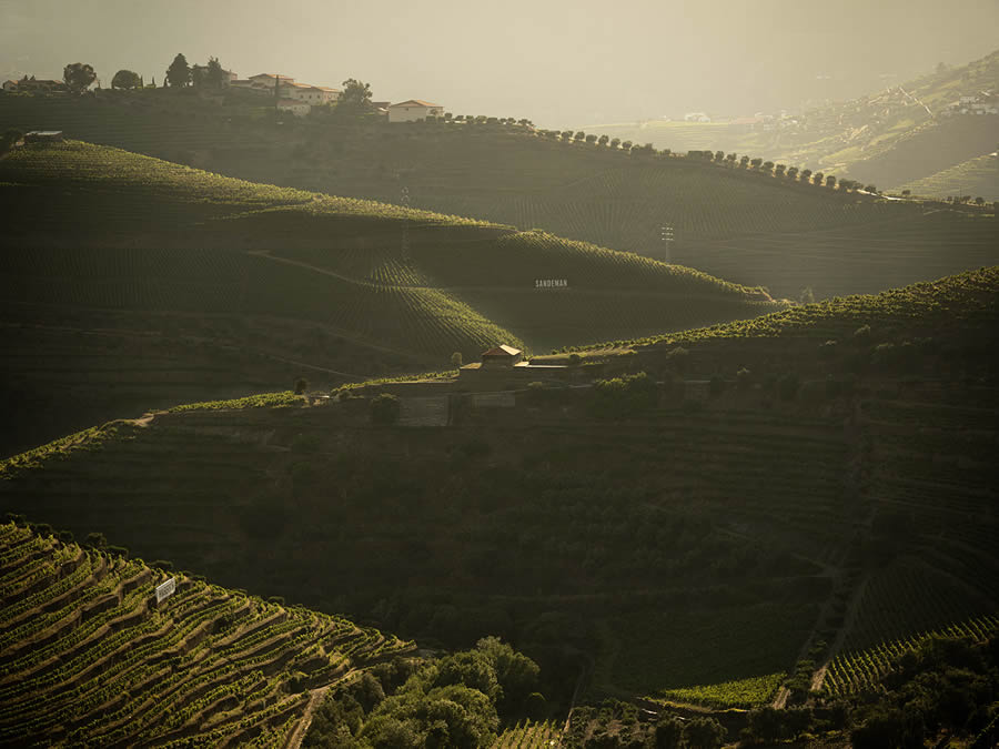 Landscape Photos Of Douro Valley By Tiago And Tania