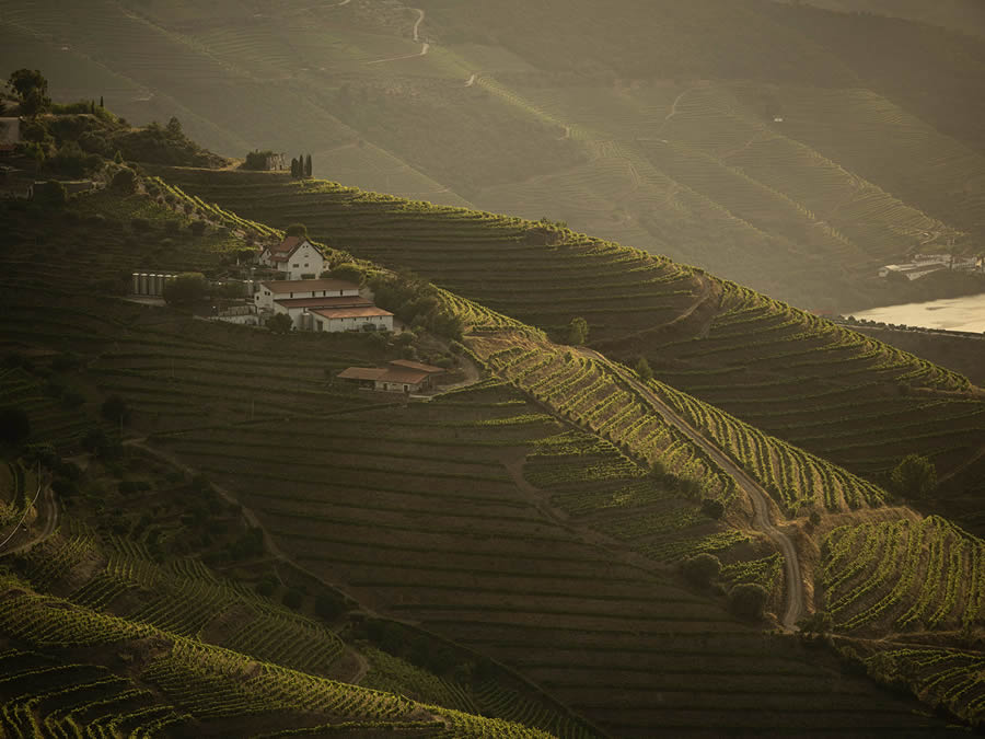 Landscape Photos Of Douro Valley By Tiago And Tania