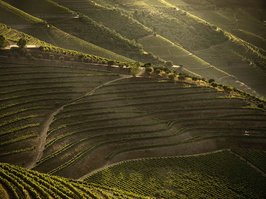 Landscape Photos Of Douro Valley By Tiago And Tania