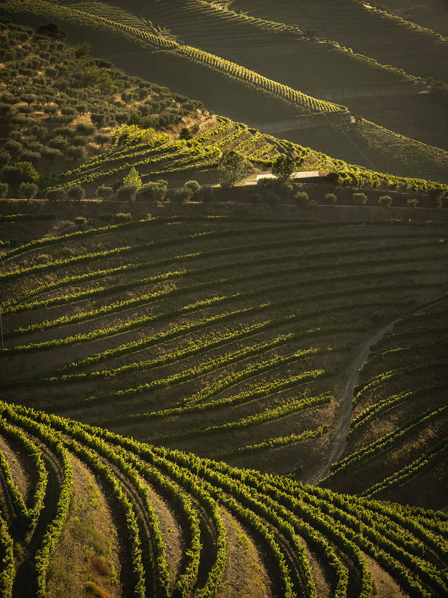 Landscape Photos Of Douro Valley By Tiago And Tania