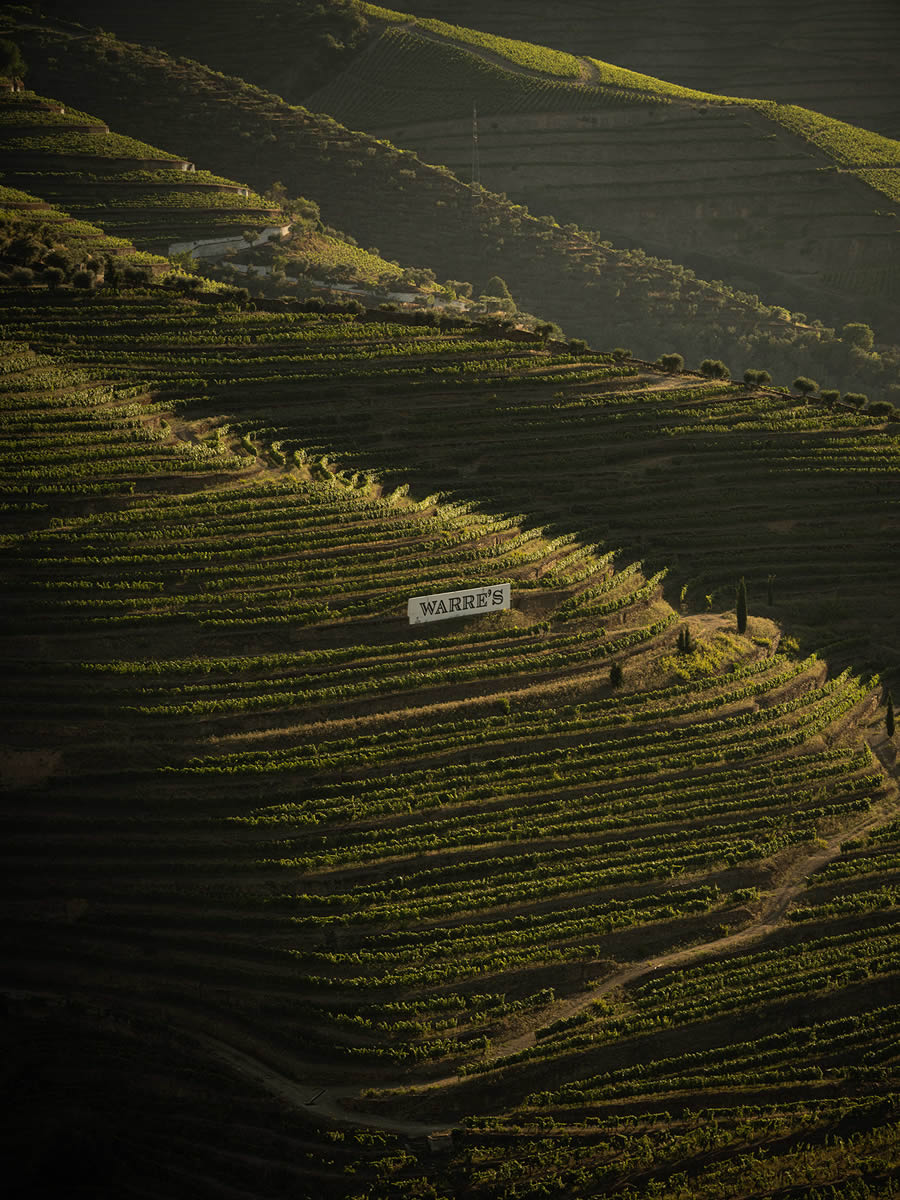 Landscape Photos Of Douro Valley By Tiago And Tania