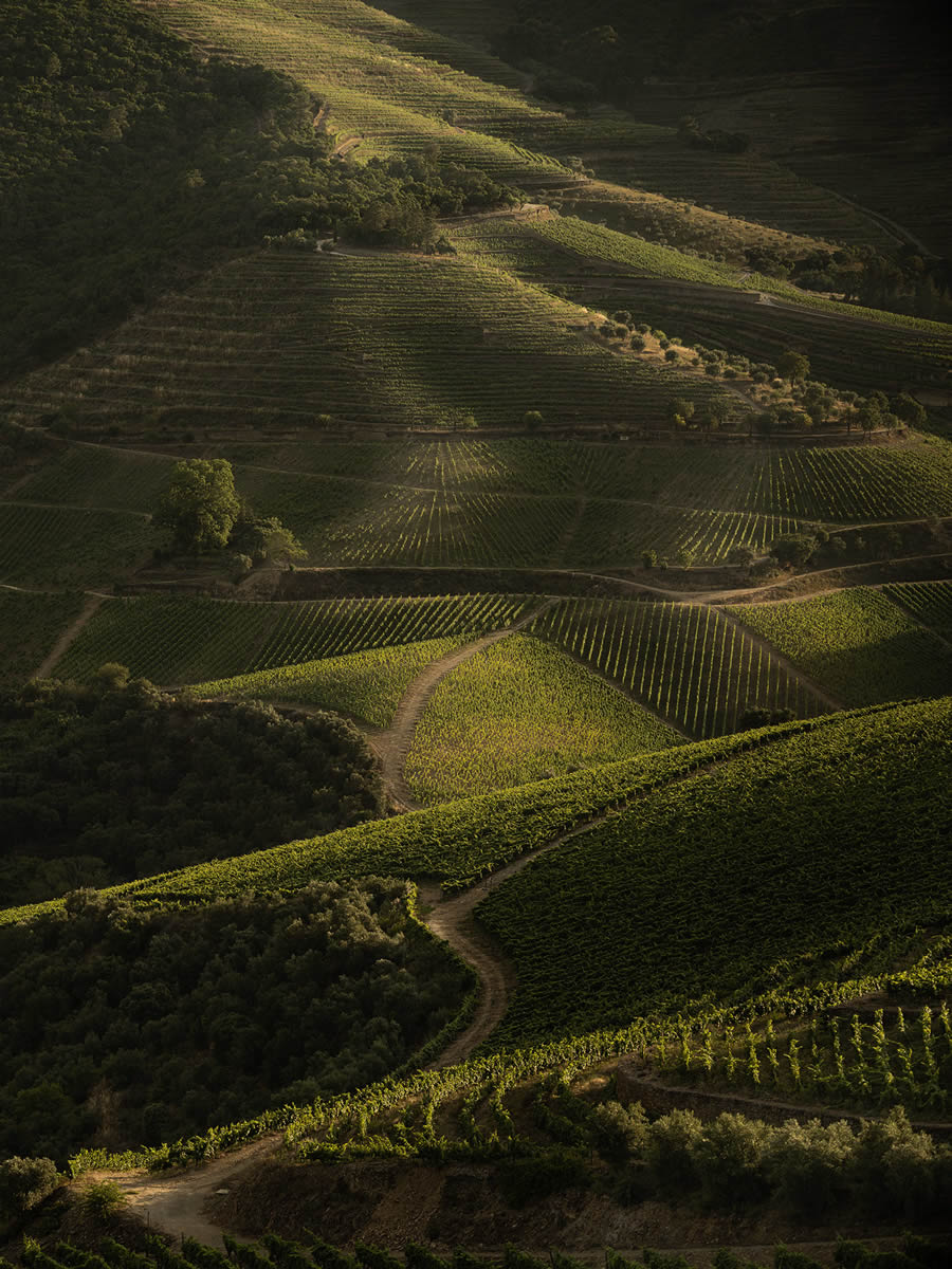 Landscape Photos Of Douro Valley By Tiago And Tania