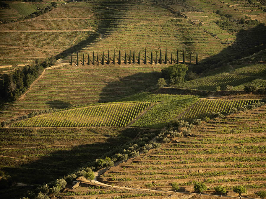 Landscape Photos Of Douro Valley By Tiago And Tania