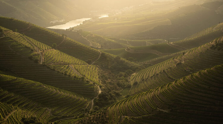 Landscape Photos Of Douro Valley By Tiago And Tania