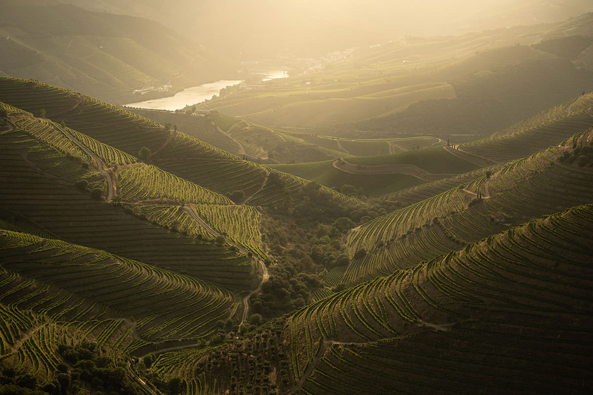 Landscape Photos Of Douro Valley By Tiago And Tania