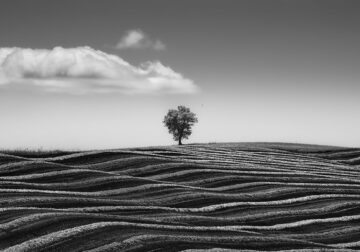 Amateur Landscape Fine Art Photography Awards 2024